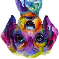 Stoupedog Icon 180.png