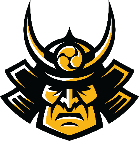 File:RONIN gg.png